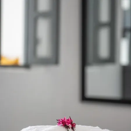 Noelia Villa *
